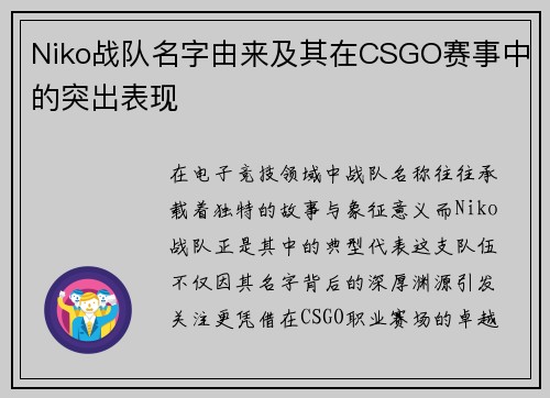 Niko战队名字由来及其在CSGO赛事中的突出表现