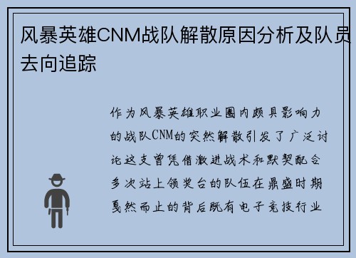 风暴英雄CNM战队解散原因分析及队员去向追踪